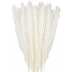 30pcs Pampas Grass 45cm Fiori Di Pampas Naturali Bouquet Di Fiori Secchi Per Vasi Bianco Boho Decor Camera Da Letto Casa Soggiorno Centrotavola Fotografia Di Matrimonio Centrotavola