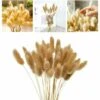 50pcs Fiori Secchi Naturali Erba Di Pampa, Mazzo Di Erba Di Coda Di Coniglio Per La Decorazione Della Casa Di Nozze Della Camera Da Letto Interna