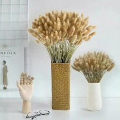 50pcs Fiori Secchi Naturali Erba Di Pampa, Mazzo Di Erba Di Coda Di Coniglio Per La Decorazione Della Casa Di Nozze Della Camera Da Letto Interna -Vendite ATMOSPHERA 92052502 3