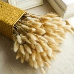 50pcs Fiori Secchi Naturali Erba Di Pampa, Mazzo Di Erba Di Coda Di Coniglio Per La Decorazione Della Casa Di Nozze Della Camera Da Letto Interna -Vendite ATMOSPHERA 92052502 4