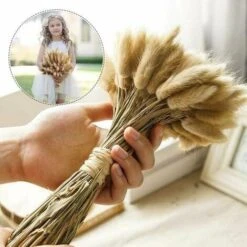50pcs Fiori Secchi Naturali Erba Di Pampa, Mazzo Di Erba Di Coda Di Coniglio Per La Decorazione Della Casa Di Nozze Della Camera Da Letto Interna -Vendite ATMOSPHERA 92052502 5