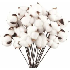 Confezione Da 40 Fiori Di Cotone Naturale Fiori Secchi Stelo Di Cotone Fiore Naturale Rami Di Cotone Finto Piante Finte Decorazione Domestica