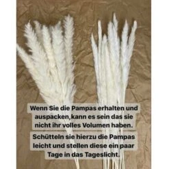 Erba Di Pampa, Erba Di Pampa Essiccata Naturalmente Deco Erba Di Pampa Phragmites Communis Bouquet Di Fiori Essiccati Decorazione Per Soggiorno Casa Fotografia Hotel Matrimonio (bianco) -Vendite ATMOSPHERA 95750181 5