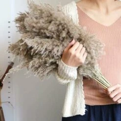 12PCS Pampas Flower Fiori Secchi Naturali Pampas Canne Essiccate Erba Di Pampas Essiccata Phragmites Decorazione Per Matrimoni E Fotografia Home Party 8 12PCS Pampas Flower Fiori Secchi Naturali Pampas Canne Essiccate Erba Di Pampas Essiccata Phragmites Decorazione Per Matrimoni E Fotografia Home Party -Vendite ATMOSPHERA 95787542 4