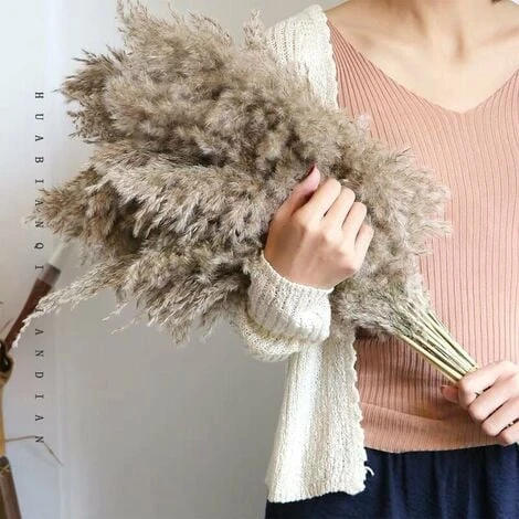 12PCS Pampas Flower Fiori Secchi Naturali Pampas Canne Essiccate Erba Di Pampas Essiccata Phragmites Decorazione Per Matrimoni E Fotografia Home Party 4 12PCS Pampas Flower Fiori Secchi Naturali Pampas Canne Essiccate Erba Di Pampas Essiccata Phragmites Decorazione Per Matrimoni E Fotografia Home Party - immagine 4