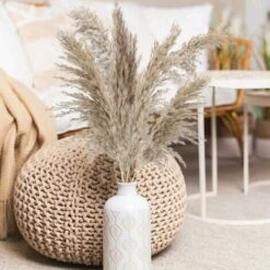 12PCS Pampas Flower Fiori Secchi Naturali Pampas Canne Essiccate Erba Di Pampas Essiccata Phragmites Decorazione Per Matrimoni E Fotografia Home Party 9 12PCS Pampas Flower Fiori Secchi Naturali Pampas Canne Essiccate Erba Di Pampas Essiccata Phragmites Decorazione Per Matrimoni E Fotografia Home Party -Vendite ATMOSPHERA 95787542 5