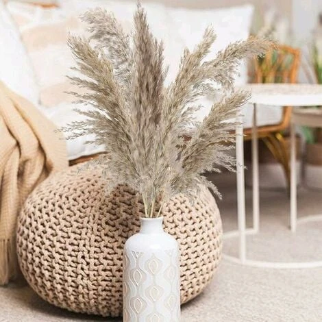 12PCS Pampas Flower Fiori Secchi Naturali Pampas Canne Essiccate Erba Di Pampas Essiccata Phragmites Decorazione Per Matrimoni E Fotografia Home Party 5 12PCS Pampas Flower Fiori Secchi Naturali Pampas Canne Essiccate Erba Di Pampas Essiccata Phragmites Decorazione Per Matrimoni E Fotografia Home Party - immagine 5