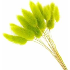 LITZEE Fiori Secchi 60pcs Fiori Secchi Naturali Decorazioni Per La Casa Di Animali Di Peluche Colorati (Blu) -Vendite ATMOSPHERA 96301058 5