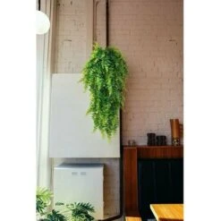 Piante Artificiali, 2 Pezzi Felce Di Boston Decidua Interni Esterni Decorazione Di Nozze Parete Simulazione Erba Persiana Vite Appesa Felce Artificiale Vite Pianta Verde Appesa -Vendite ATMOSPHERA 97887878 5