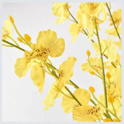 Bouquet Di Fiori Finti Decorazione Domestica Composizione Di Fiori Gialli 5 Pezzi 8 Bouquet Di Fiori Finti Decorazione Domestica Composizione Di Fiori Gialli 5 Pezzi -Vendite ATMOSPHERA 98112483 4