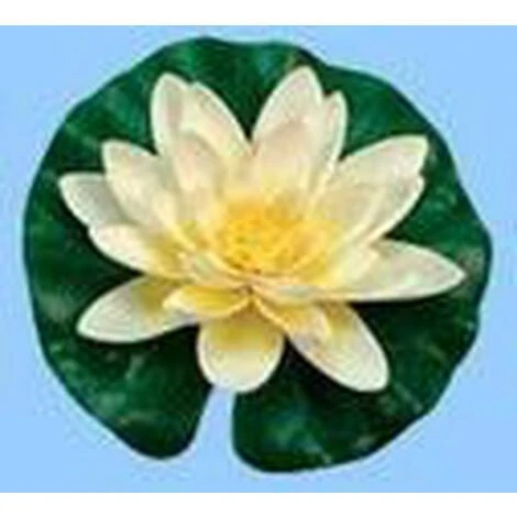 3 Settembre Seta Giglio Bianco Gocce Aguaset Ubbink 1 3 Settembre Seta Giglio Bianco Gocce Aguaset Ubbink