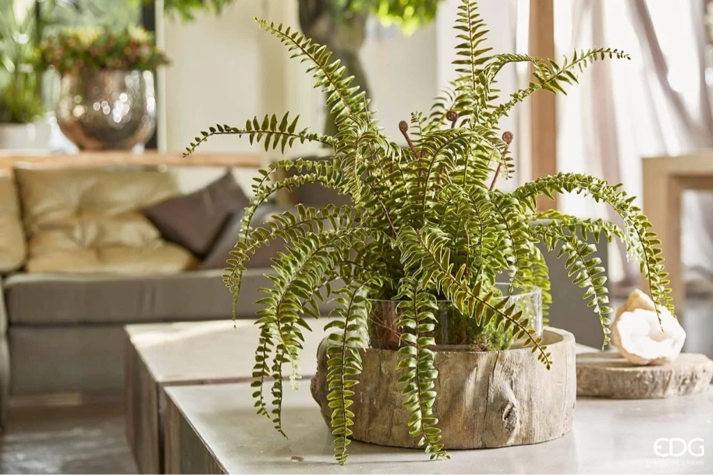 Vendite ATMOSPHERA -Vendite ATMOSPHERA PIANTE ARTIFICIALE